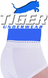 Vintage 2006 Boys Tiger Brief