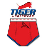 Boys Red with Blue Trim Training Brief - Tiger Underwear