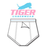 Boys Pink and Blue Dash Double Seat Briefs - Tiger Underwear