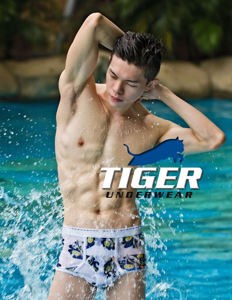 Tiger Underwear Men's PDF Catalog 10 - Tiger Underwear