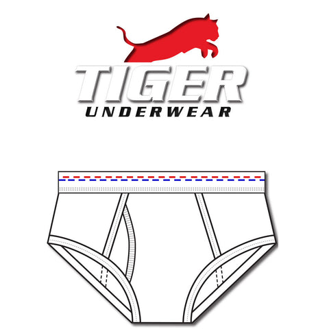 Boys Red and Blue Dash Mid-Rise Briefs - Tiger Underwear