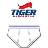 Boys Red and Blue Stripe Mid-Rise Briefs - Tiger Underwear